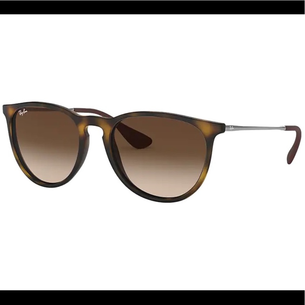 Ray-Ban Erika Sunglasses